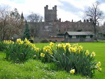 Deanery Field in Spring