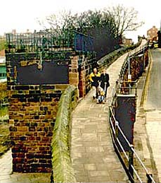 morgan's mount