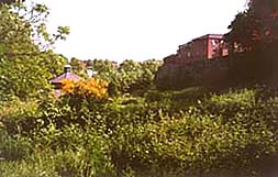 roman garden before restoration