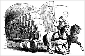 bewers dray