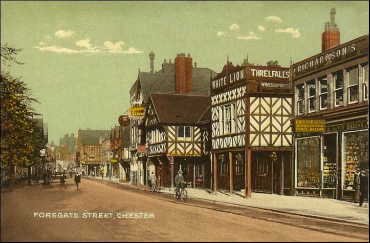 view of white lion and foregate street