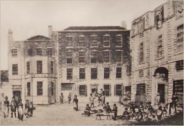 whitelion and exchange