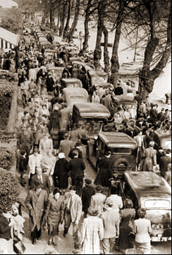 traffic jam on the groves