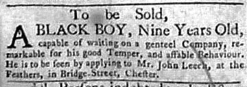slave for sale advert