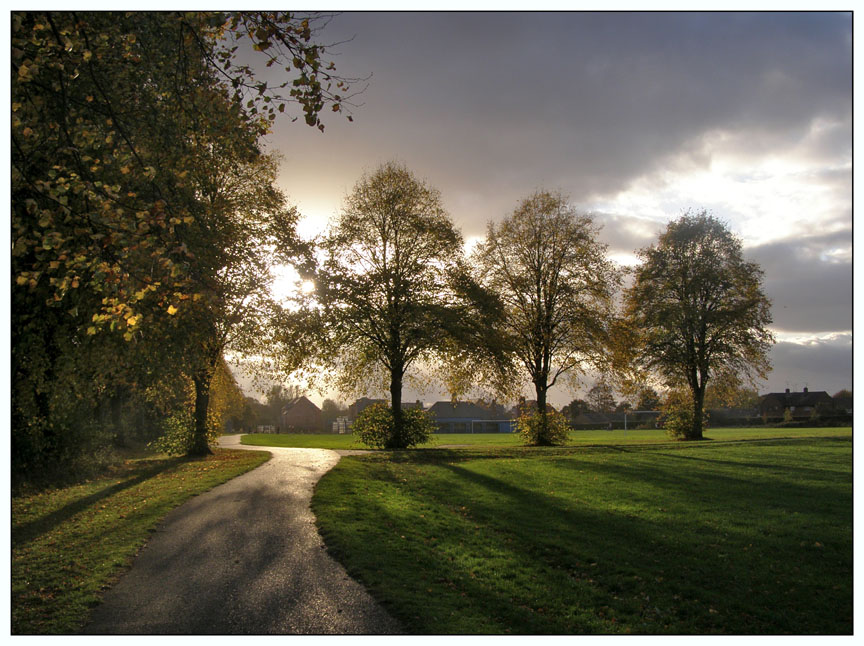 lime wood fields, chester
