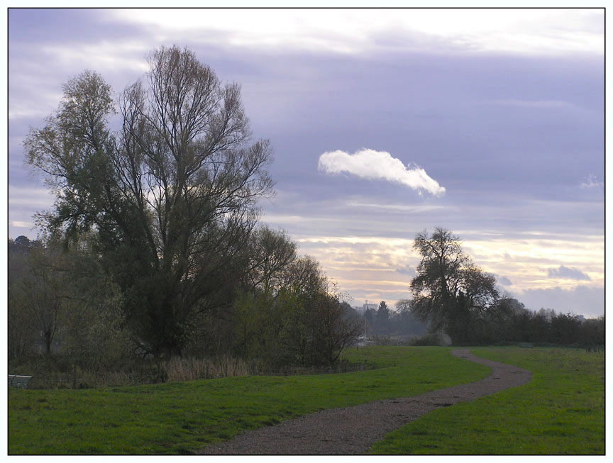 the meadows