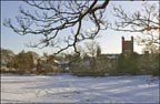 cathedral and deanery field