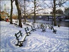 groves benches