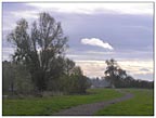 meadows