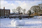 snowballs of deanery field