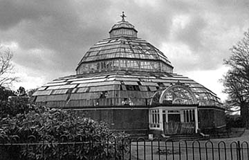 derelict palmhouse