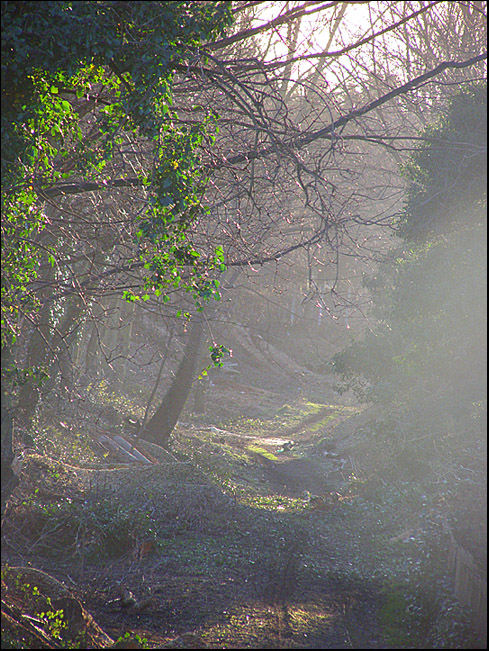newton hollows before restoration