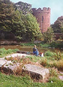 watertower from stone park