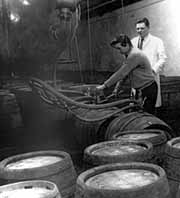 brewers