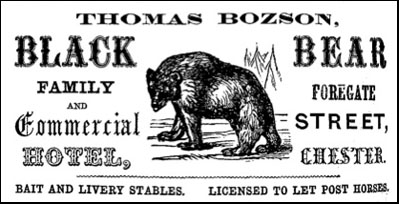 black bear advert